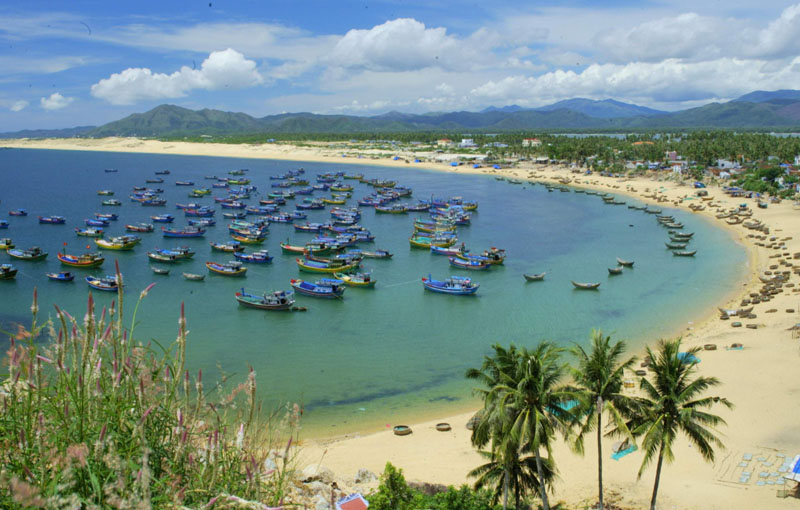 Quy Nhơn Quy Nhơn